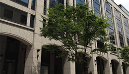 Real Estate Business